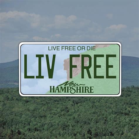 Feel the rush as you swoop past the trees on a zipline canopy tour, or roar through the woods on an ATV. . Nh free stuff
